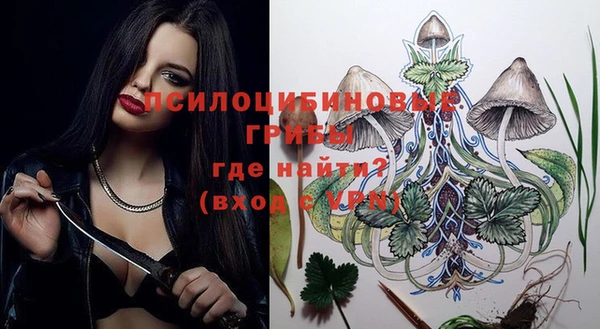 а пвп мука Бородино