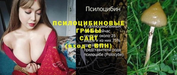 СК Бугульма